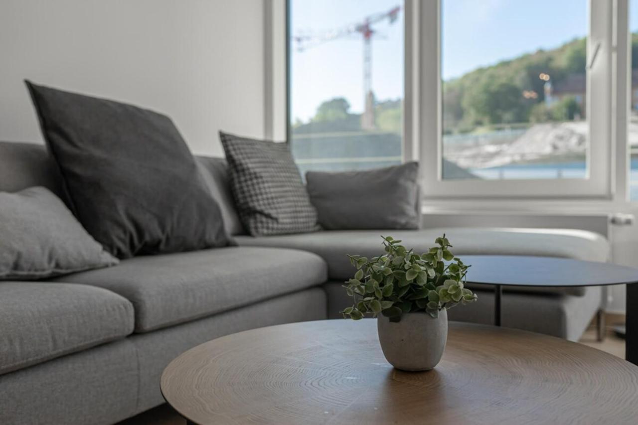 L'Estrade Appartement Annecy Dış mekan fotoğraf